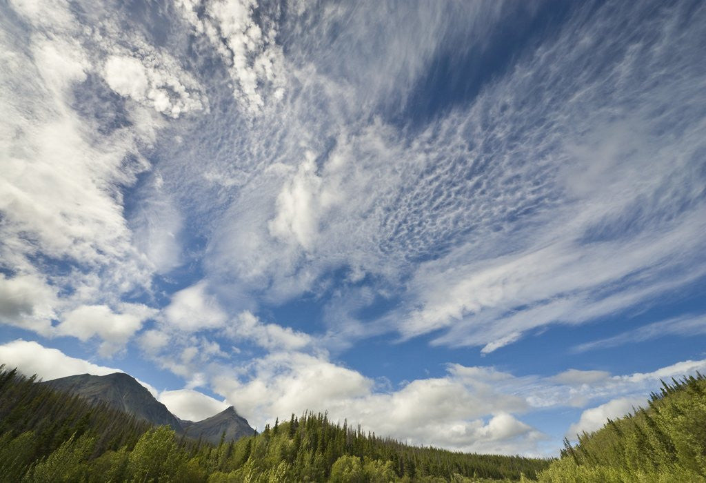 Detail of Cumulus and cirrus clouds above mountains by Anonymous