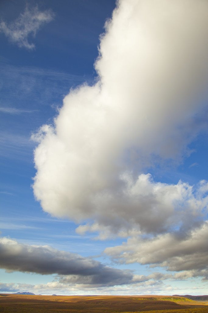 Detail of Cumulus clouds above tundra in Yukon Territory by Anonymous