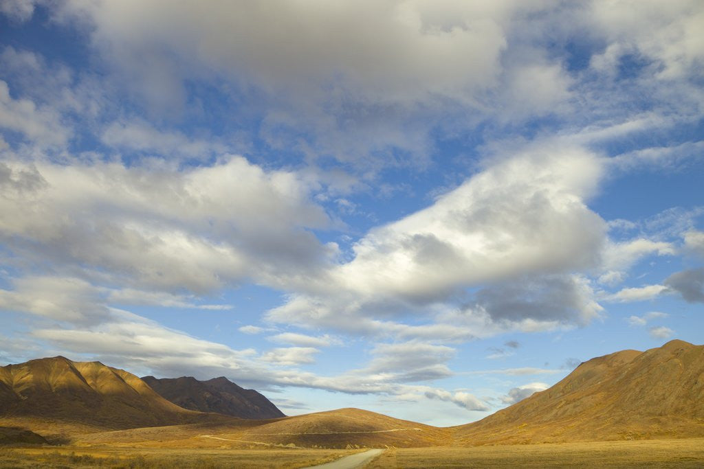 Detail of Cumulus clouds above tundra and mountains in Denali National Park by Anonymous