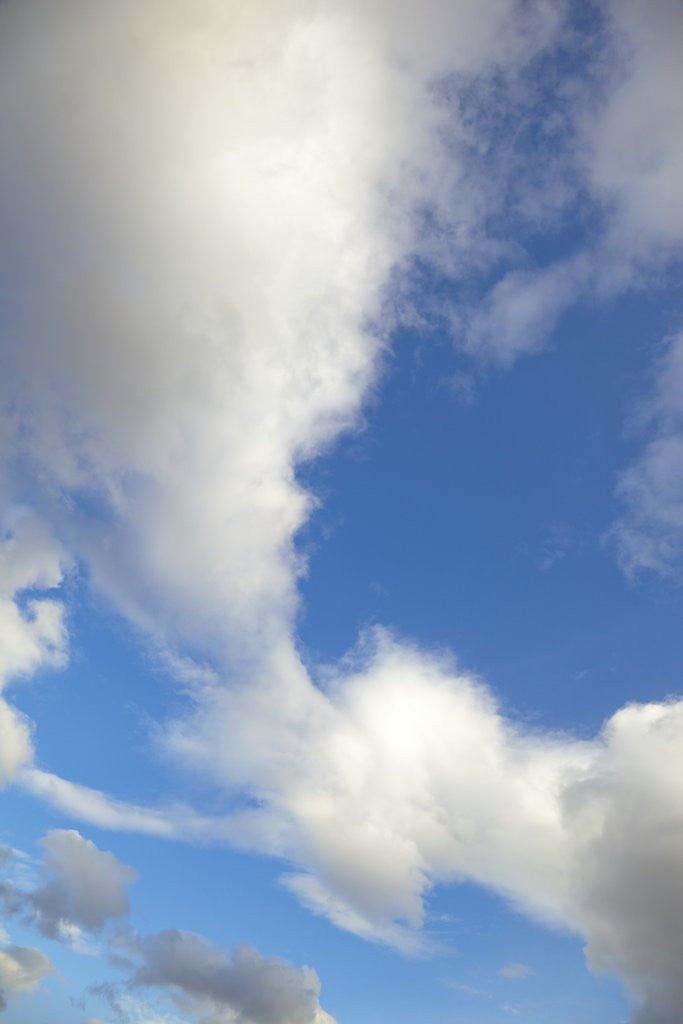 Detail of Lenticular and cumulus clouds in Denali National Park by Anonymous