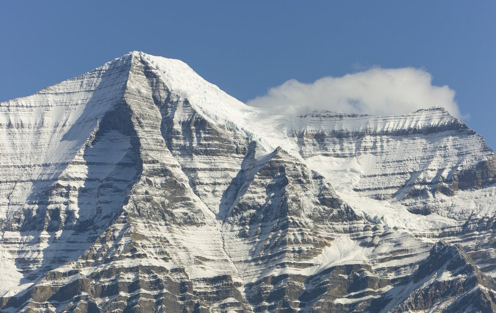 Detail of Mt. Robson by Anonymous
