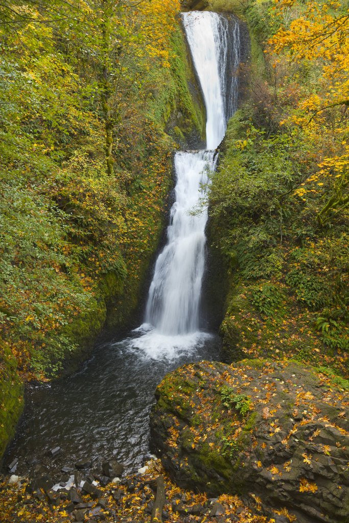 Detail of Bridal Veil Falls in autumn by Corbis
