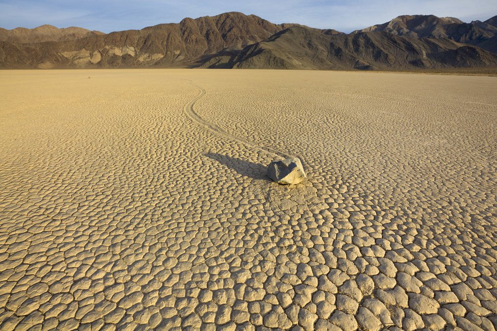 Detail of The Racetrack in Death Valley National Park by Anonymous