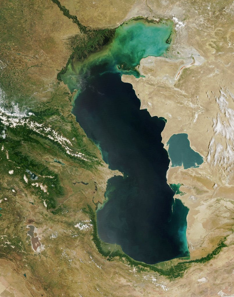 Detail of Caspian Sea by Anonymous