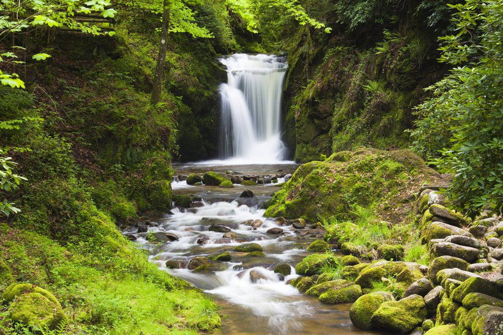 Detail of Geroldsauer Waterfall in Grobbach Valley in the Black Forest by Anonymous