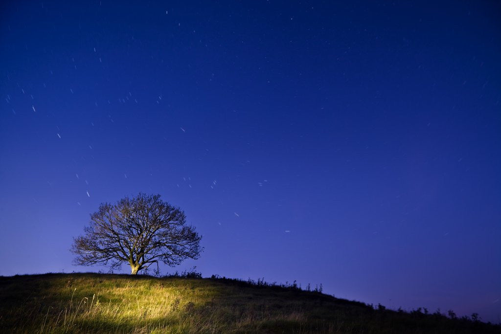 Detail of Burrow Hill, Somerset, at night by Corbis