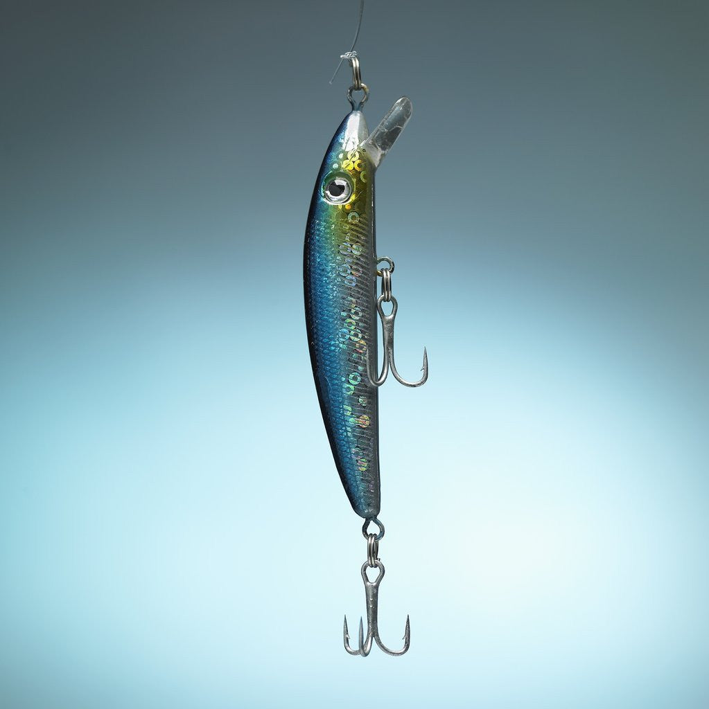 Detail of Fishing tackles by Anonymous