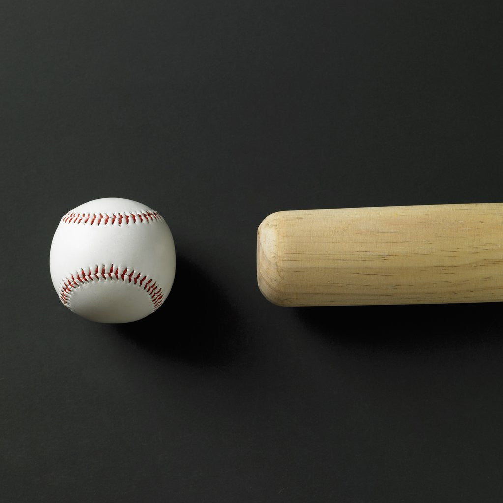Detail of Directly-above view of a bat and a ball in a row by Anonymous