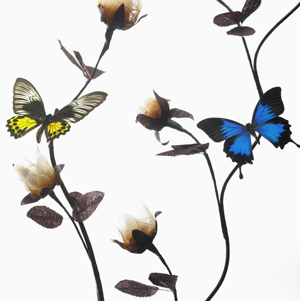 Detail of Butterflies with flowers by Anonymous