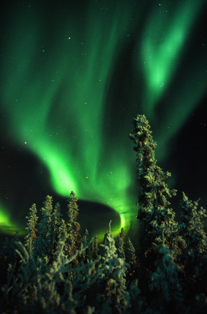 Detail of Aurora Borealis or Northern Lights, Yukon. by Corbis