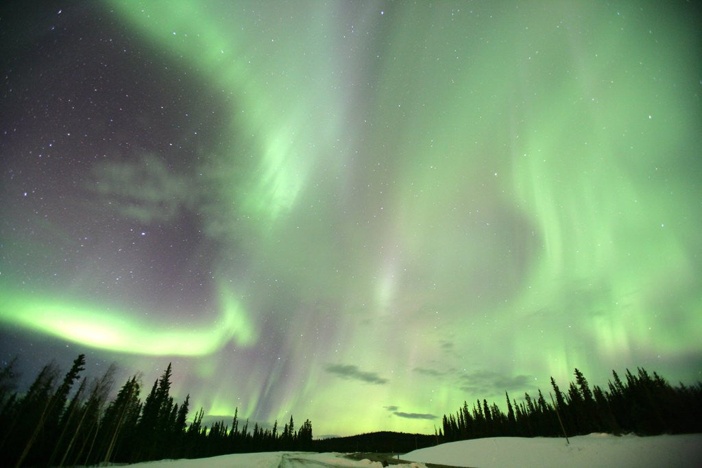Detail of Aurora Borealis or Northern Lights, Yukon. by Anonymous