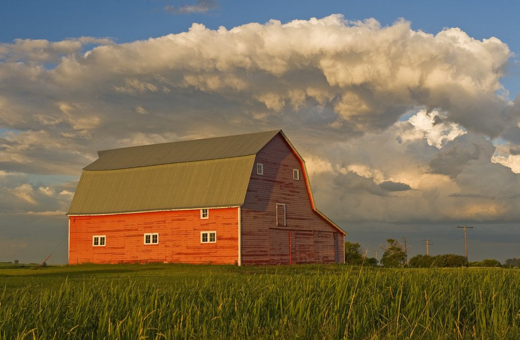 Detail of Barn and cumulonimbus cloud mass near Bromhead, Saskatchewan, Canada by Anonymous