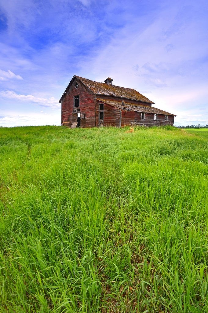 Detail of Abandoned red barn sitting on the top of a hill on a pioneer homestead in rural Alberta Canada by Anonymous