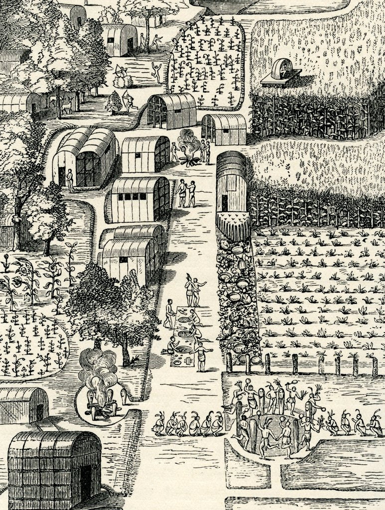 Detail of Town of Pomeiooc by Anonymous