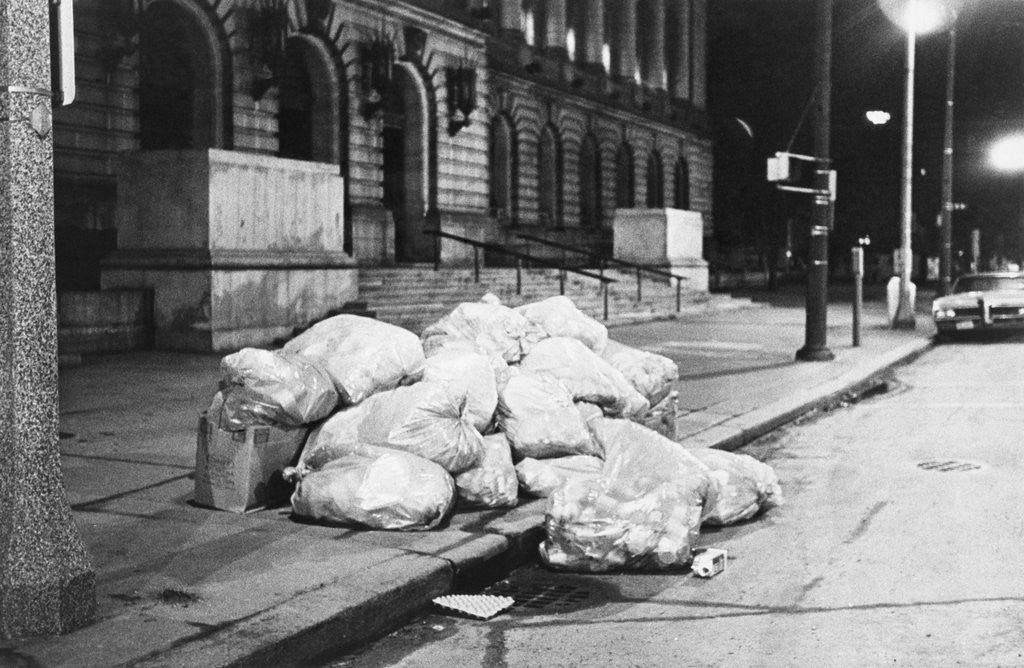Detail of Garbage at City Hall by Anonymous