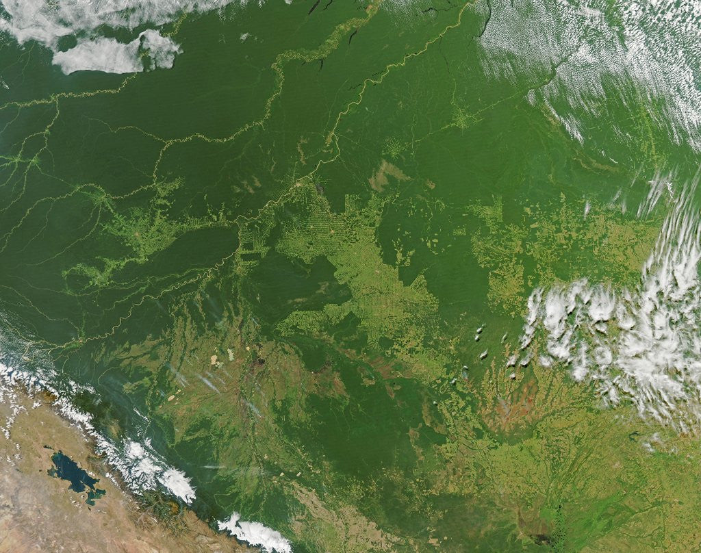 Detail of Deforestation in the Amazon Basin, Brazil by Anonymous