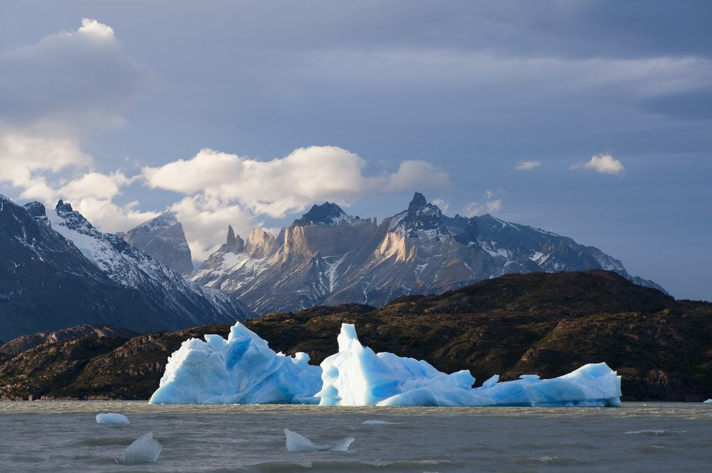 Detail of Lago Grey, Torres del Paine National Park, Patagonia, Chile. by Anonymous