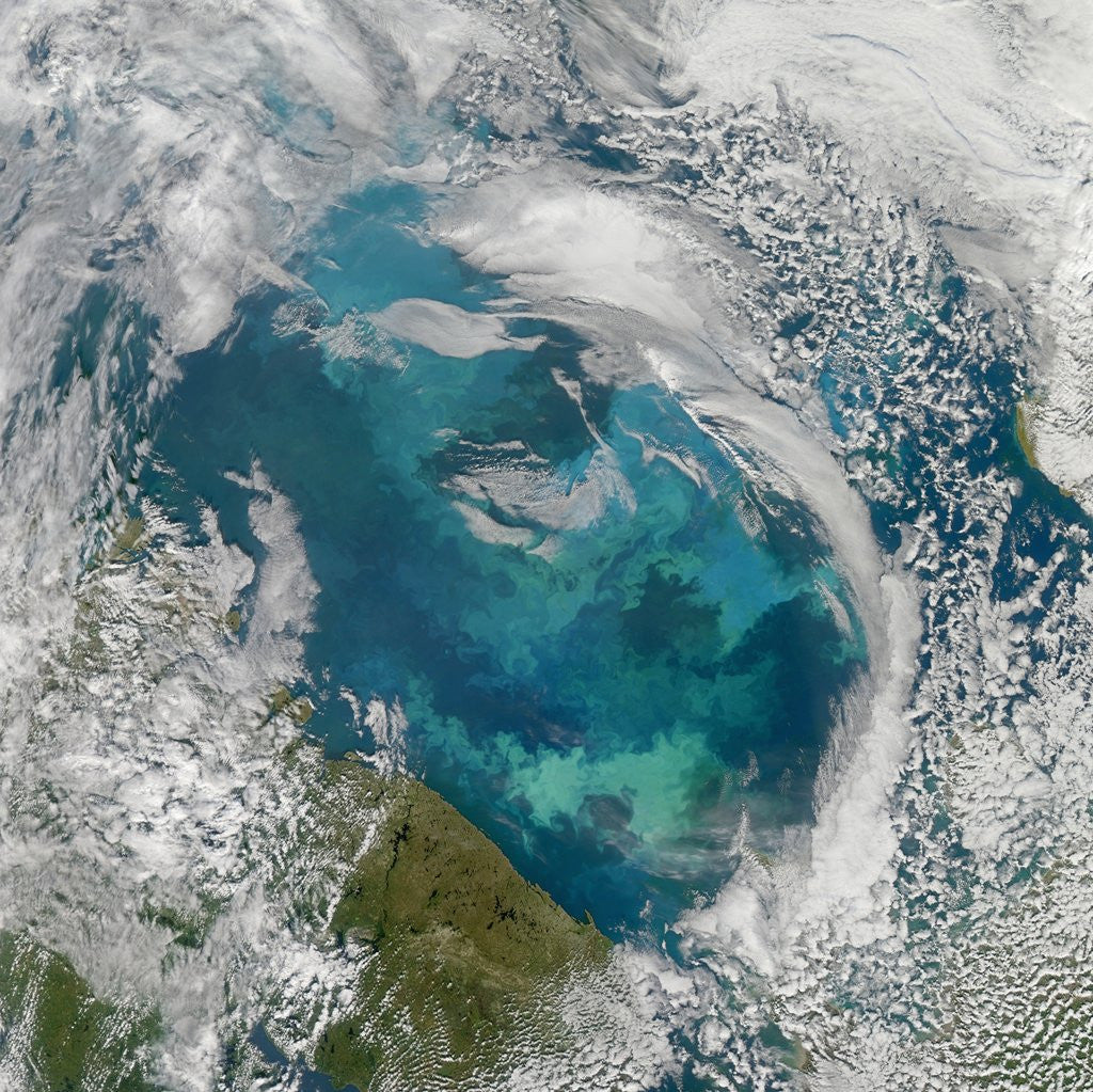Detail of Phytoplankton Bloom in the Barents Sea by Anonymous