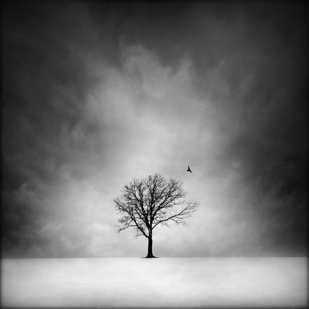 Detail of Solitary tree in a winter landscape by Anonymous