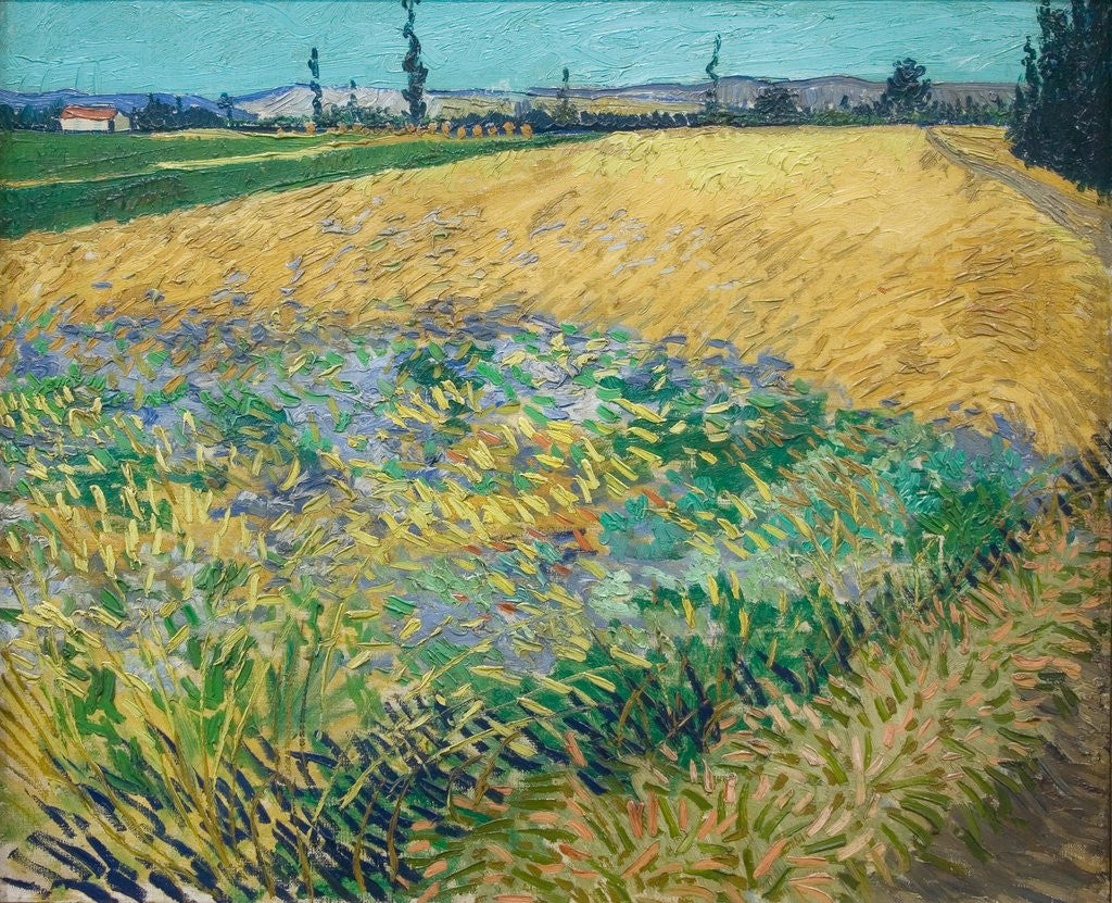 Detail of Wheatfield by Vincent Van Gogh