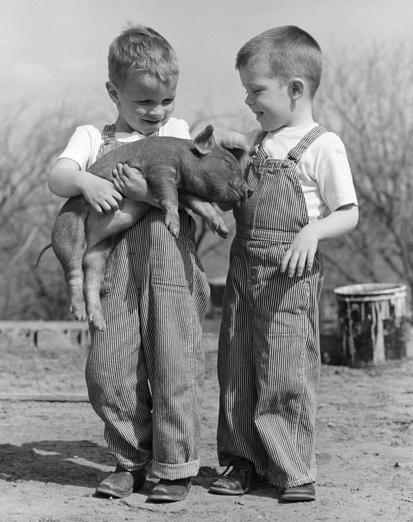 Detail of Boys in striped overalls holding piglet by Anonymous