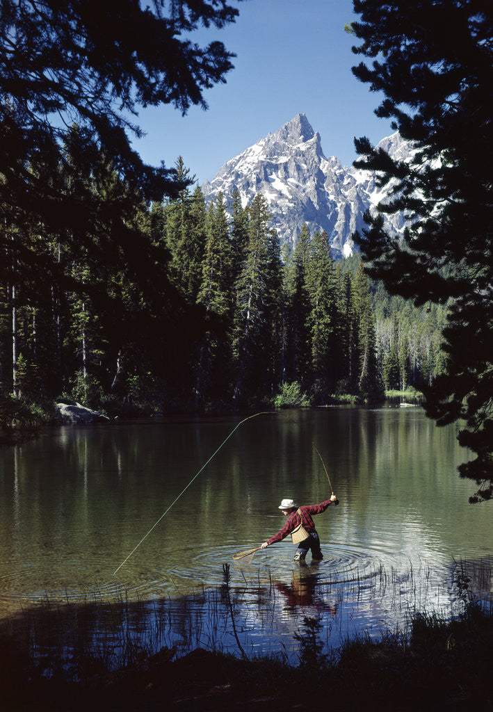 Detail of Man fishing at string lake grand teton national park wyoming by Anonymous
