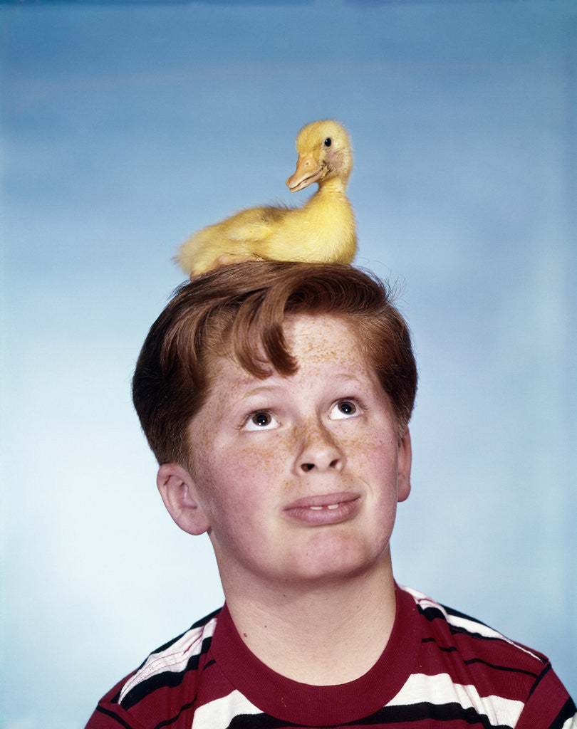 Detail of Boy with baby duckling sitting on top of his head by Anonymous