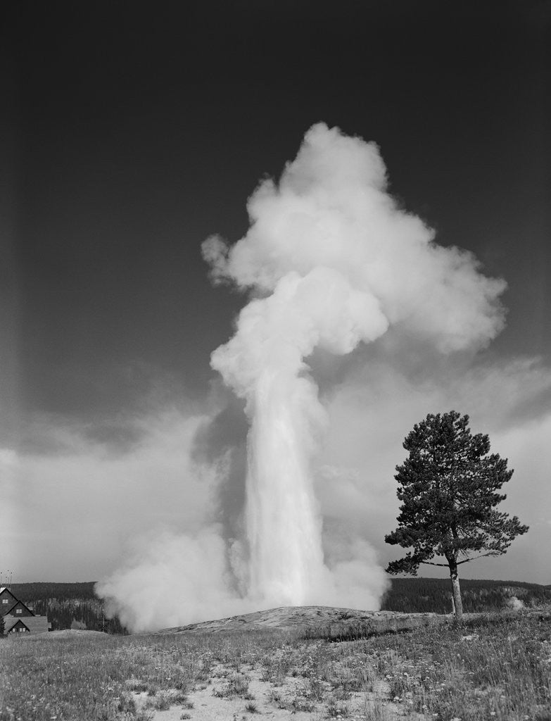 Detail of Old faithful geyser erupting yellowstone national park by Anonymous