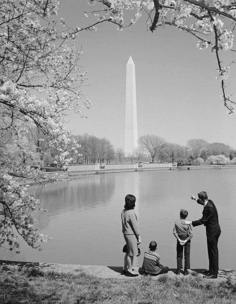 Detail of Family mother father two boys in washington dc looking at washington monument amid cherry blossoms by Anonymous