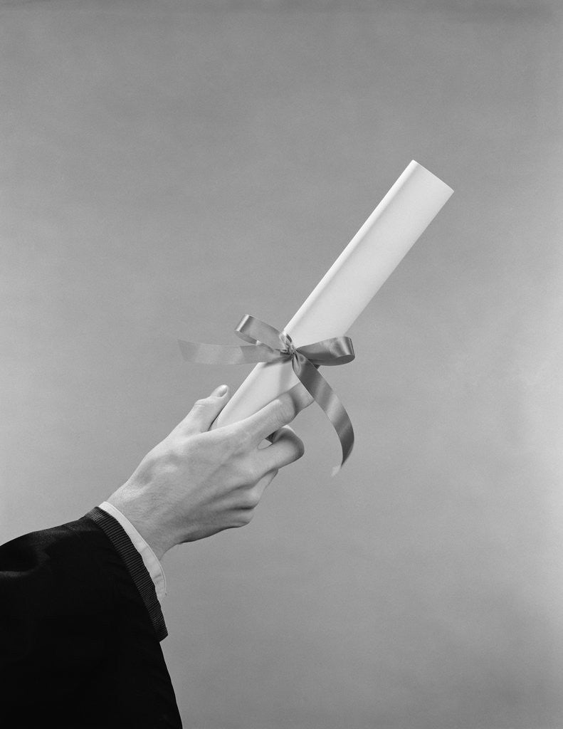 Detail of Male hand holding graduation diploma by Anonymous