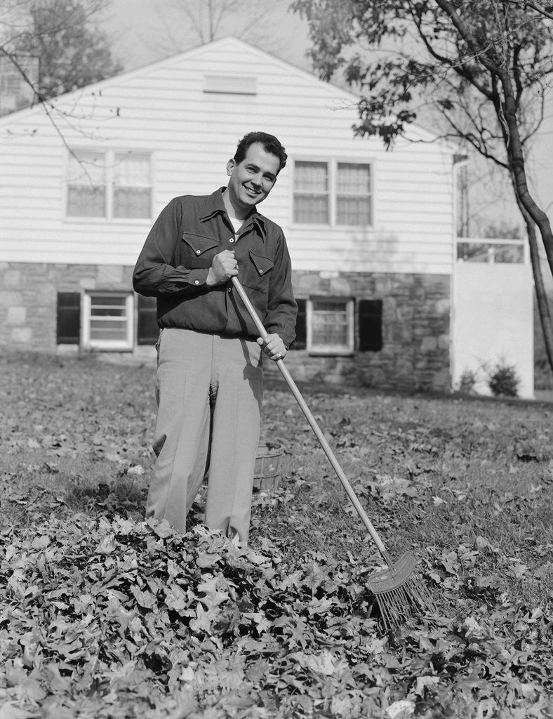 Detail of Smiling man raking autumn leaves in front yard of house by Anonymous