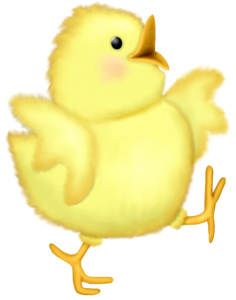 Detail of A happy chick spreading its wings as it walks by Anonymous