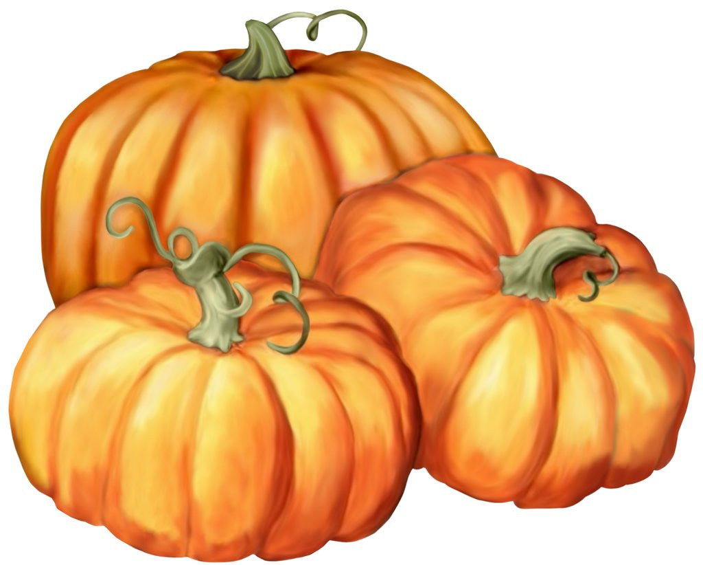 Detail of A picture of three pumpkins by Corbis