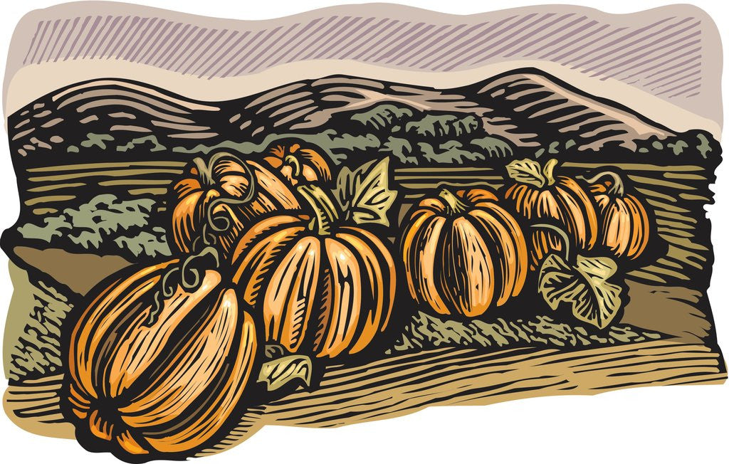 Detail of Pumpkin patch by Anonymous