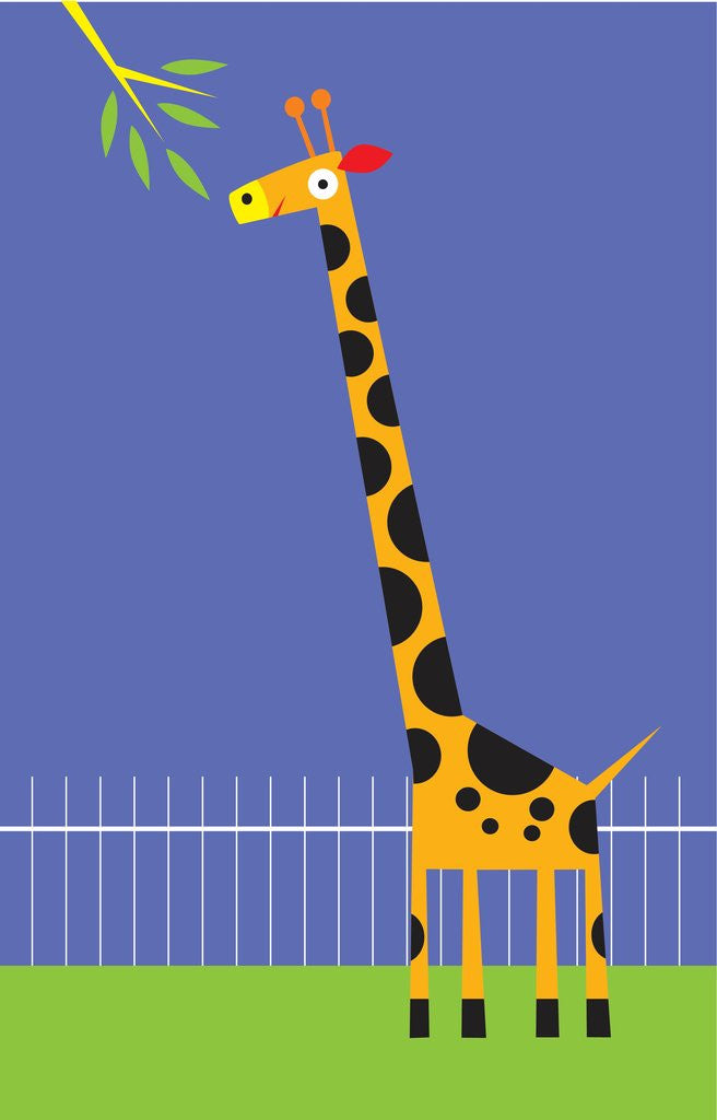 Detail of A giraffe about to eat leaves on a tree by Anonymous