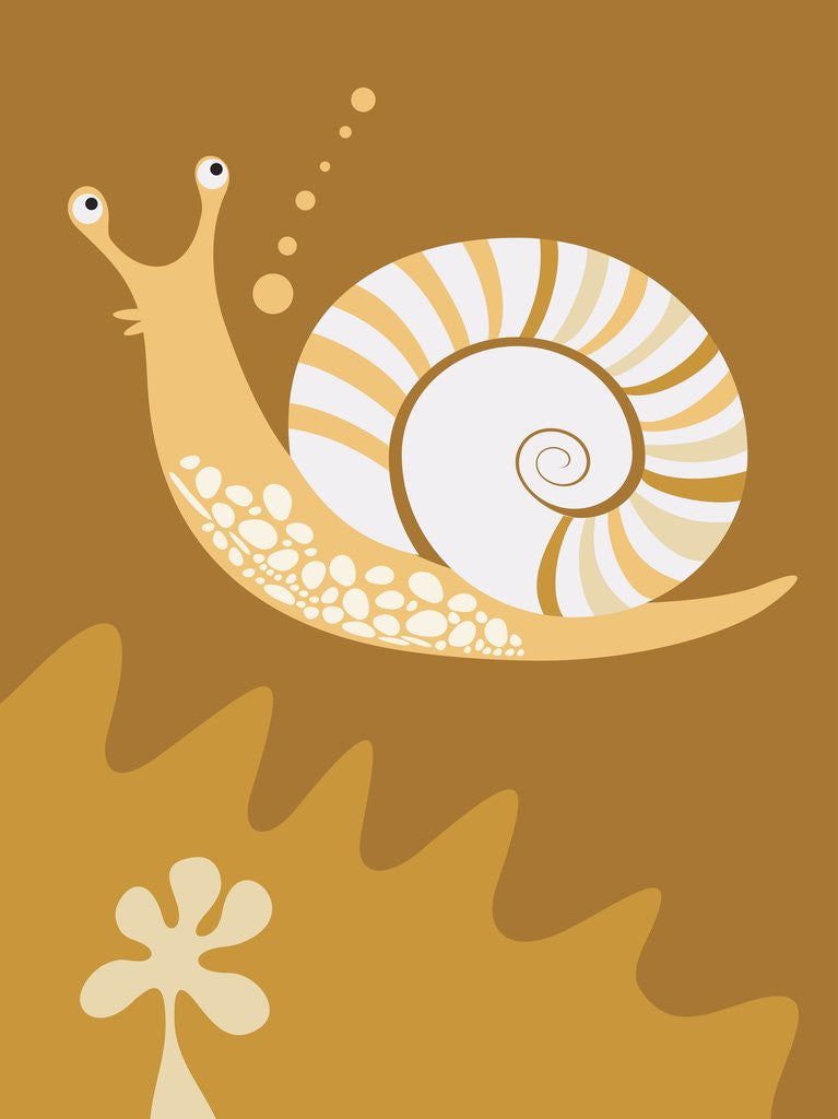 Detail of A snail by Anonymous