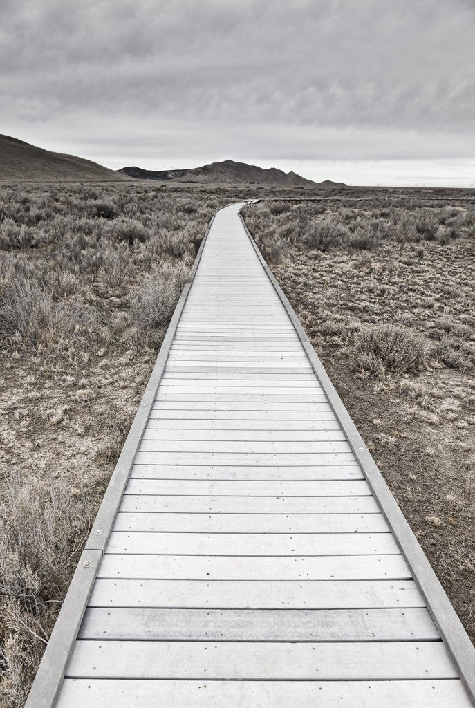 Detail of Boardwalk through the desert by Anonymous
