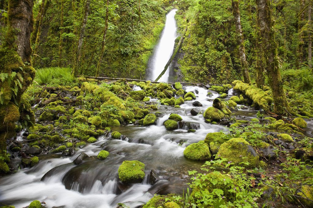 Detail of Ruckel Creek Falls in Columbia River Gorge National Scenic Area by Corbis