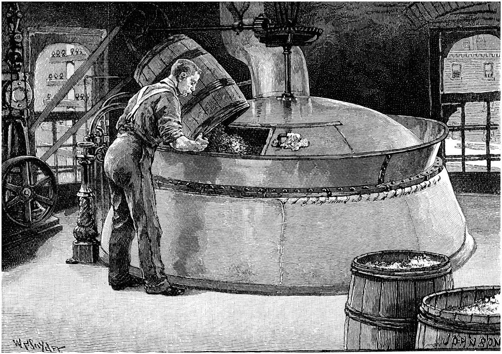 Detail of Brewer adding hops to boiling beer in an American brewery by Anonymous
