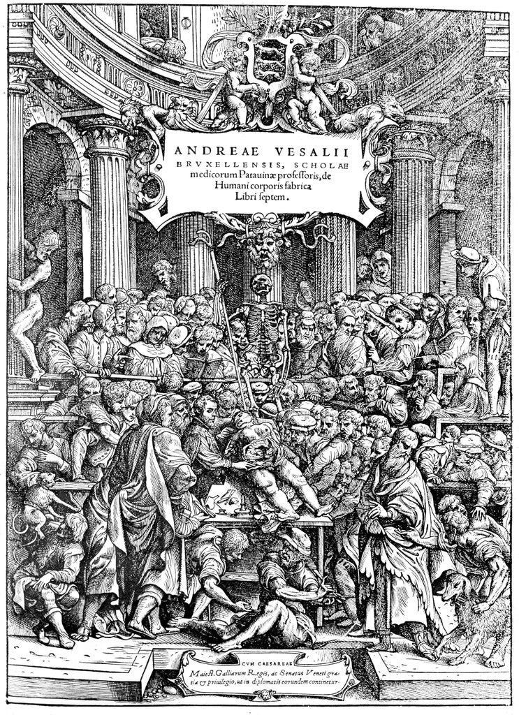 Detail of Title page of Andreas Vesalius 