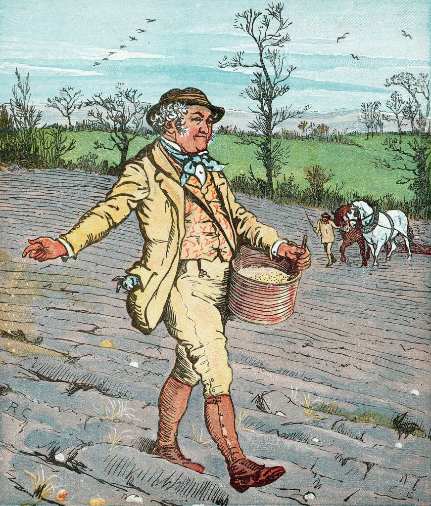 Detail of Farmer sowing seed broadcast by Anonymous
