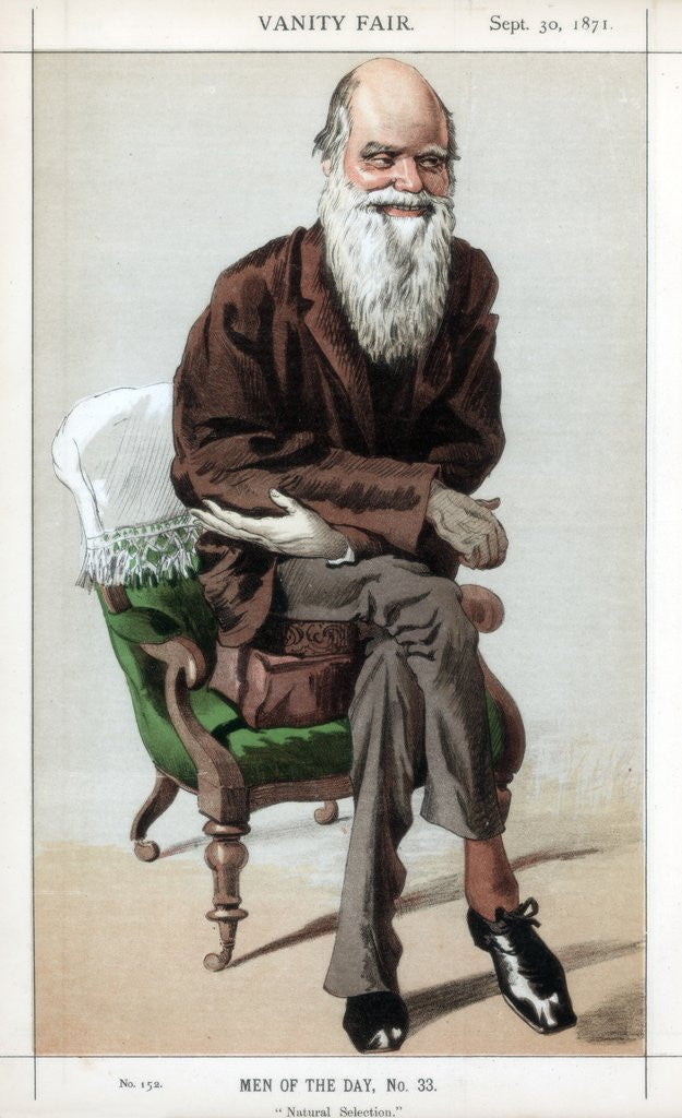 Detail of Caricature of Charles Darwin by Anonymous