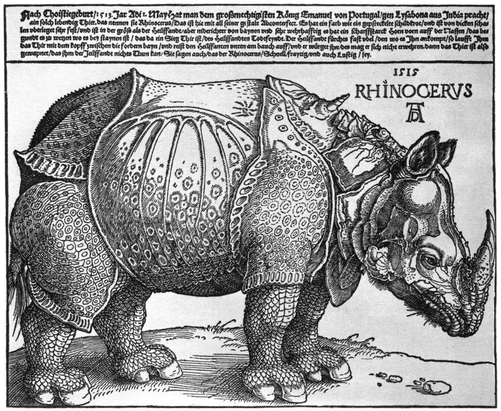 Detail of Rhinoceros by Albrecht Dürer