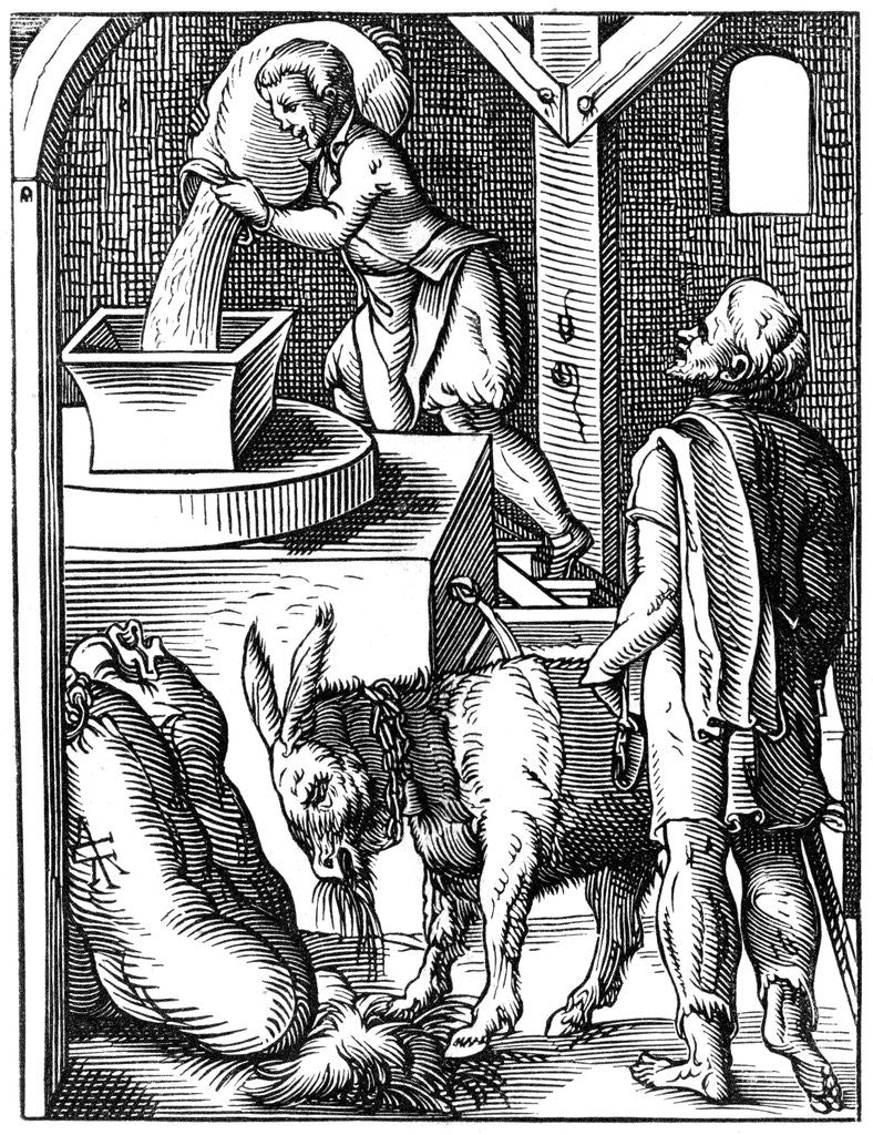 Detail of 16th century miller by Anonymous