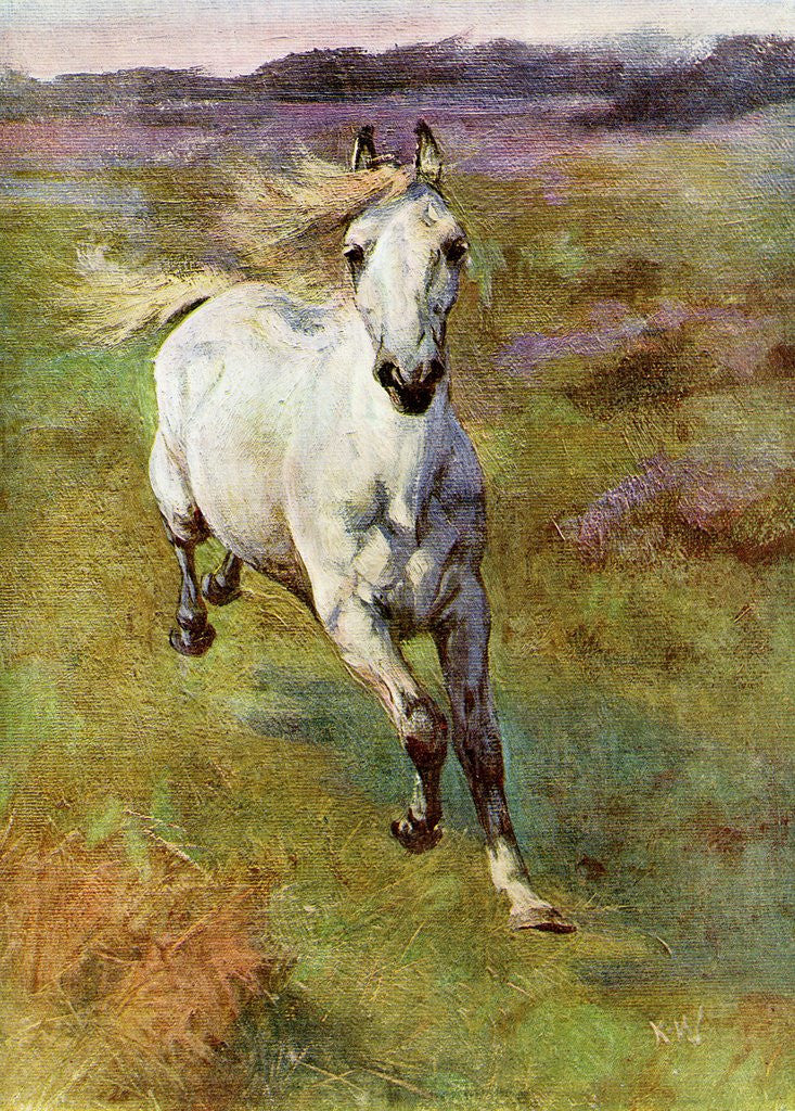 Detail of Study from life for Colt Hunting in the New Forest by Anonymous