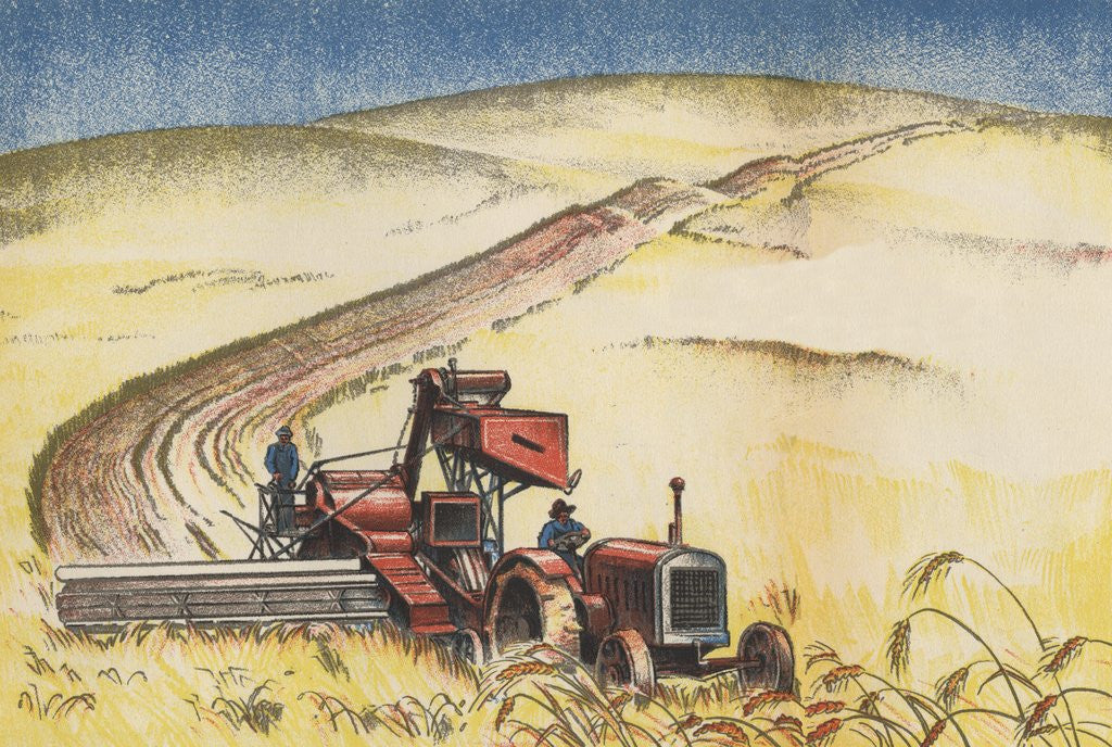 Detail of Wheat harvest by Anonymous