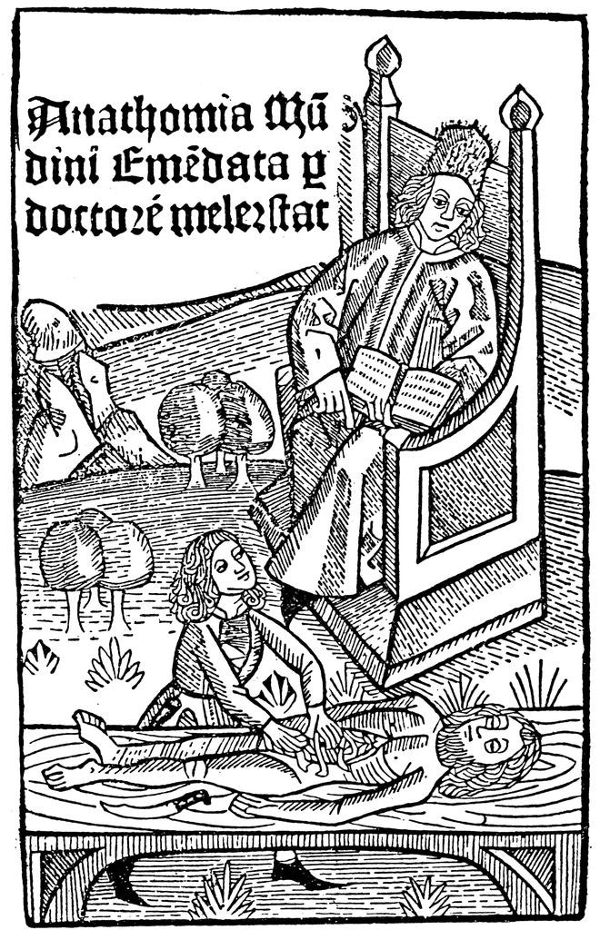 Detail of Anatomy demonstration by Anonymous