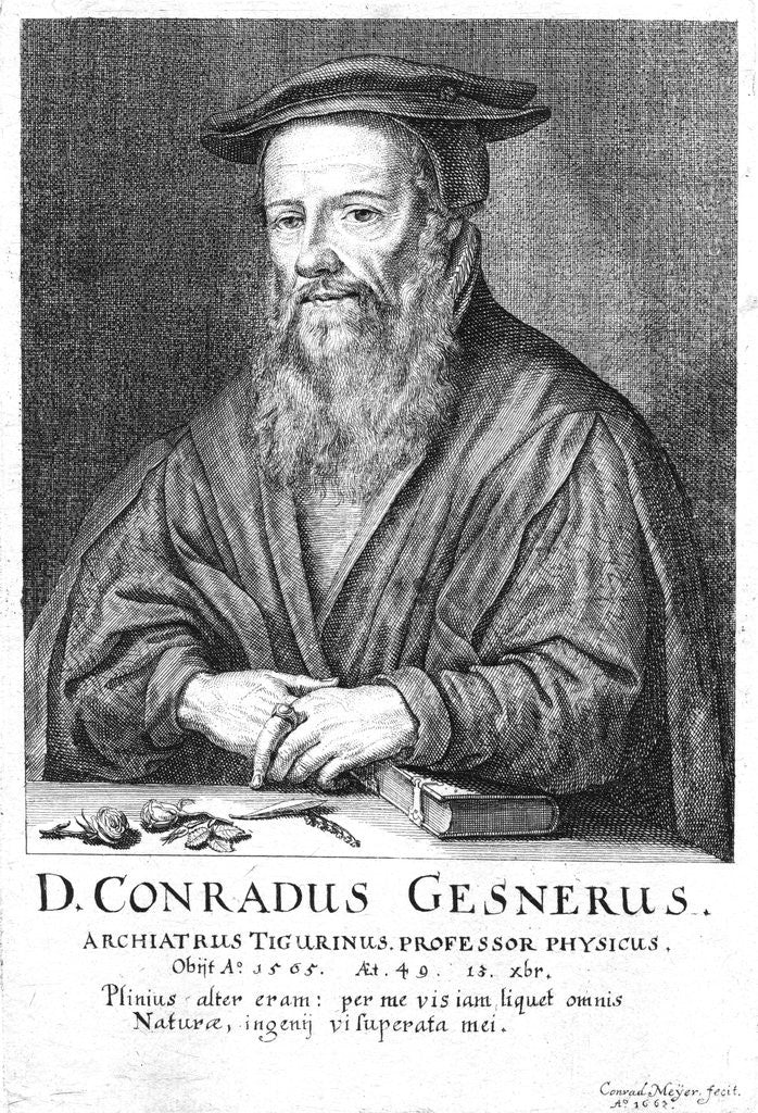 Detail of Conrad Gesner by Anonymous