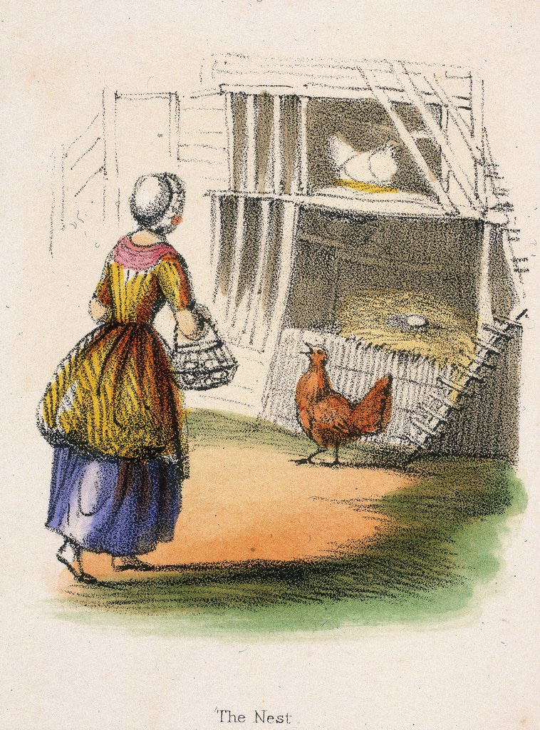 Detail of Woman collecting chicken eggs by Anonymous