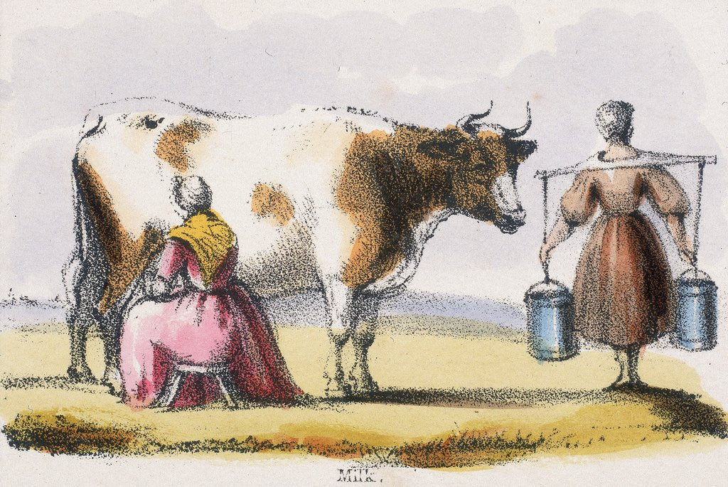 Detail of Milkmaids with cow by Anonymous